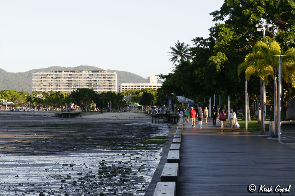 AUS_2482