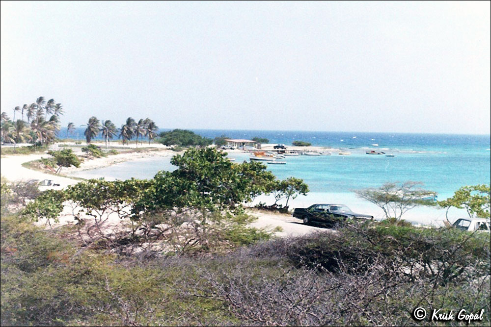 aruba12