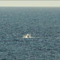 CR2015-1730.jpg