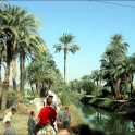 139-3988_Luxor.jpg