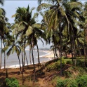 Goa