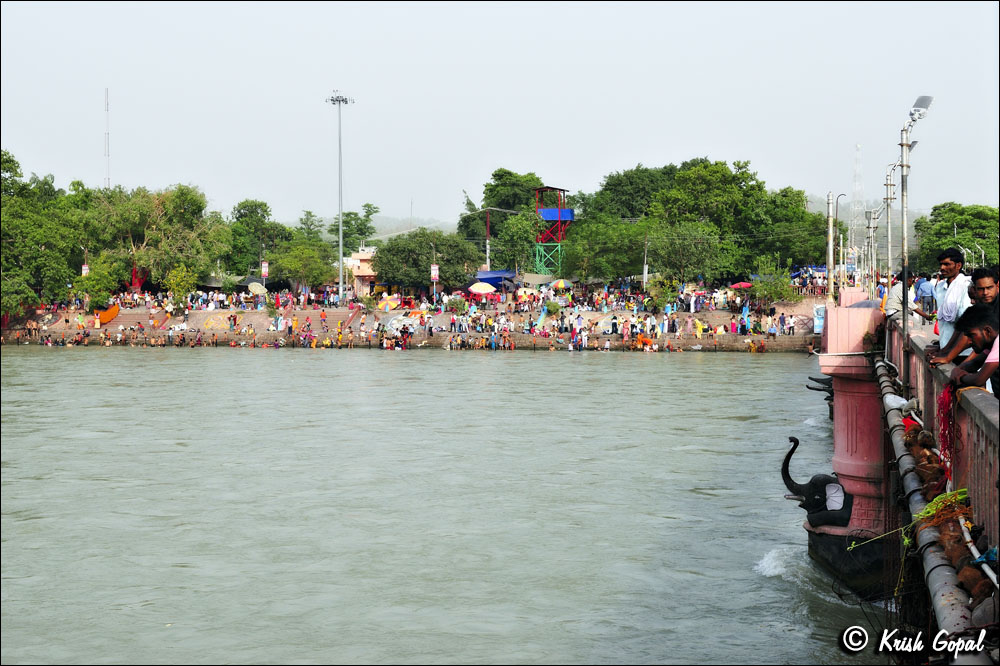 IND17-6248