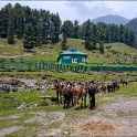 Pahalgam