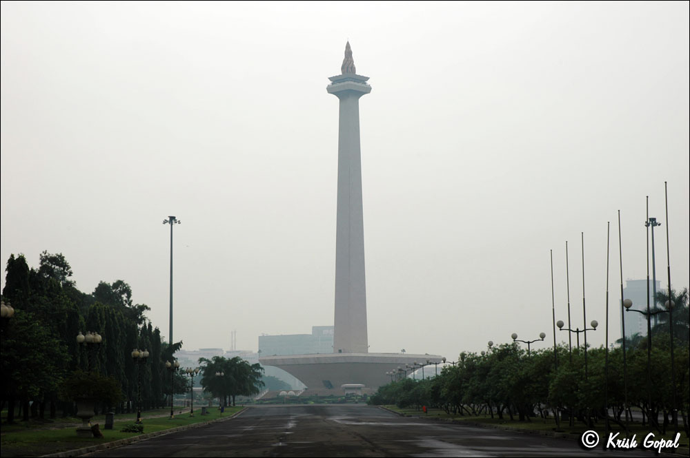 DSC_7953
