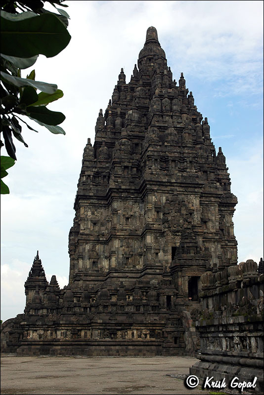 DSC_8539