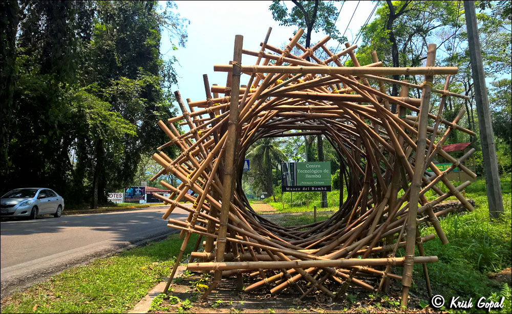 WP_20160509_12_56_06