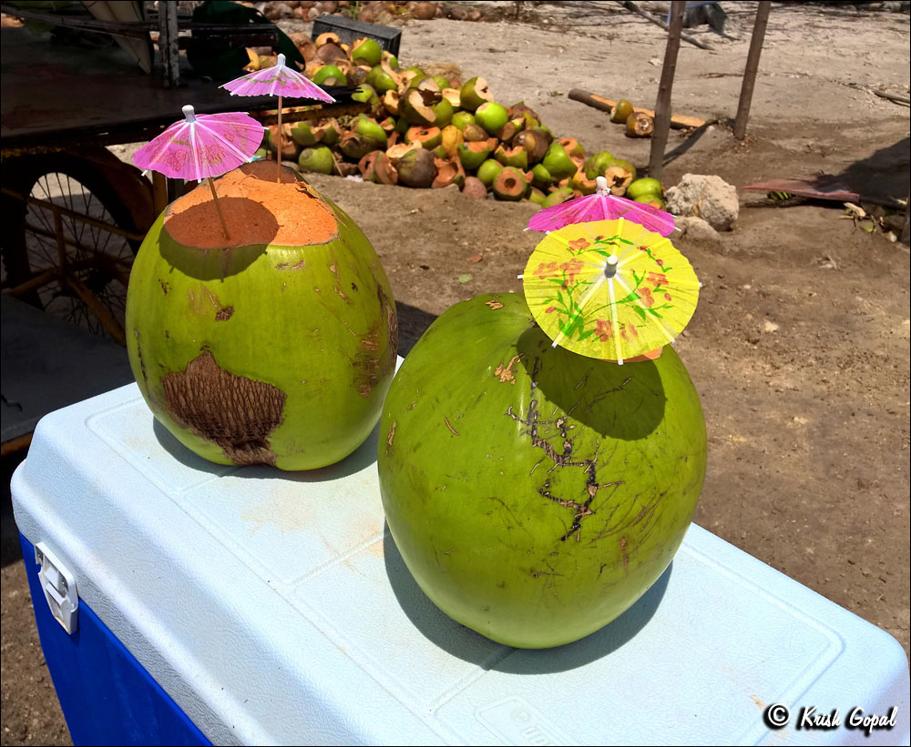 WP_20160513_11_32_07