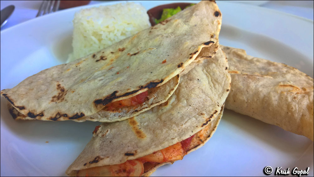 WP_20160525_14_21_08