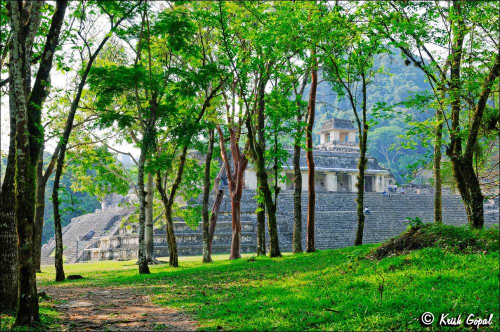 MEX-0783