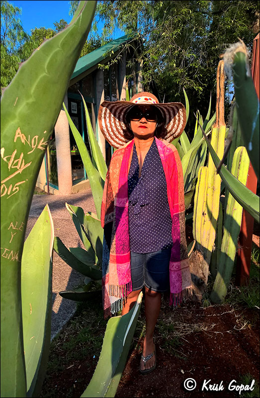 WP_20160519_08_47_49