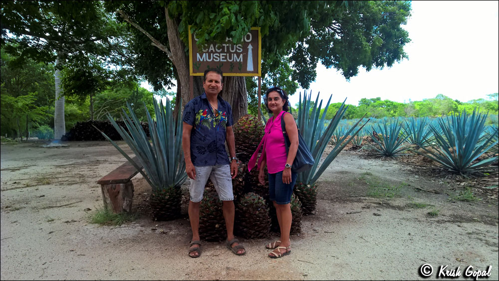 WP_20160517_14_12_46