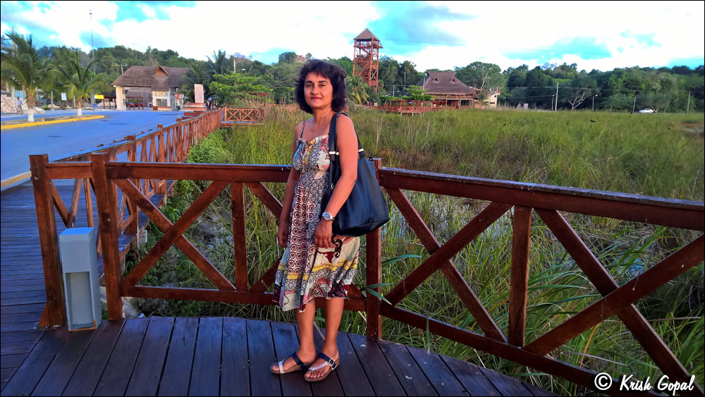 WP_20160517_18_47_07