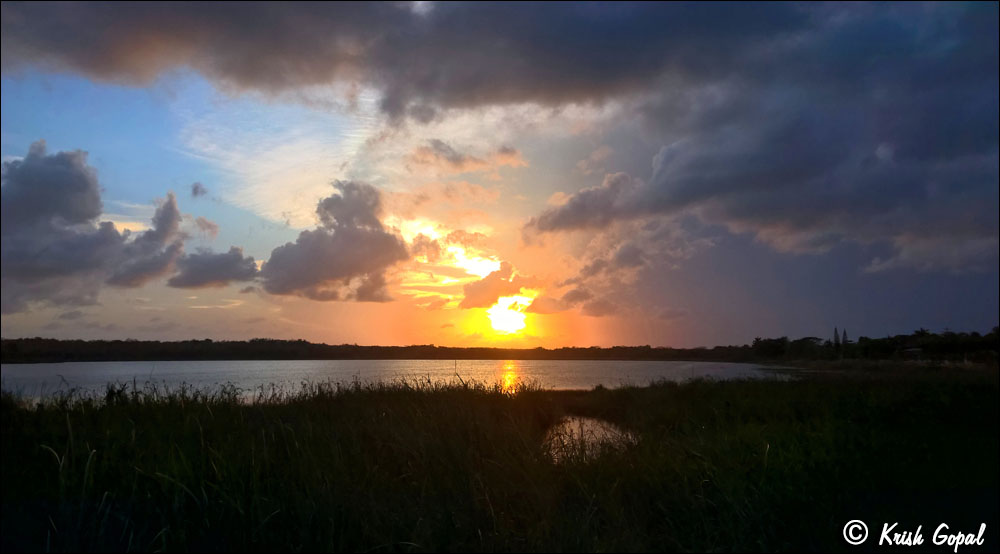 WP_20160517_19_05_56