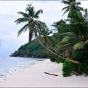 Mahe-2017-03-01-041.jpg