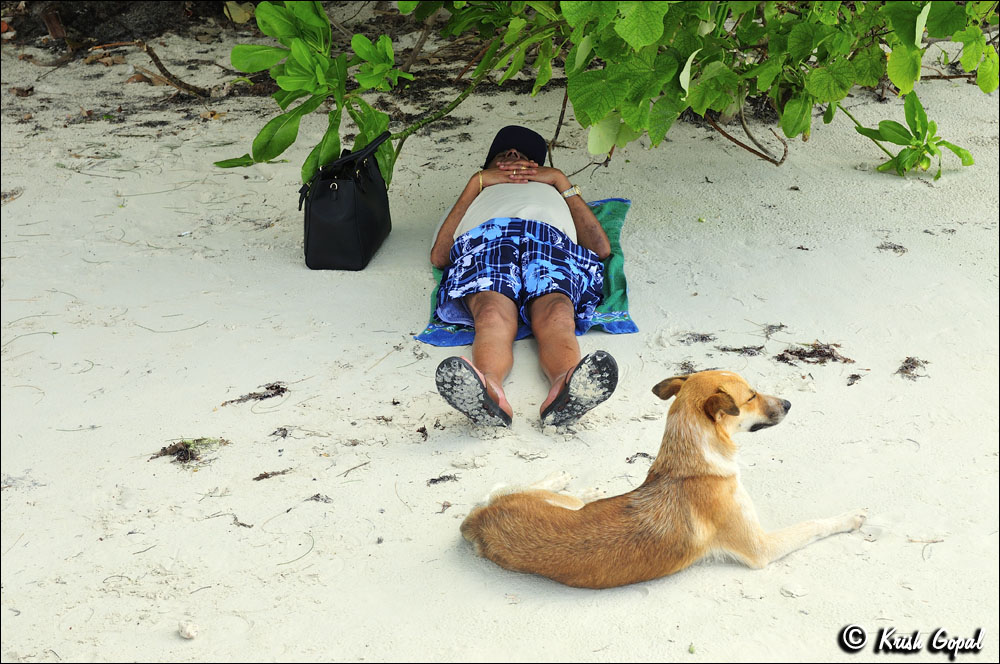 Praslin-2017-03-03-073