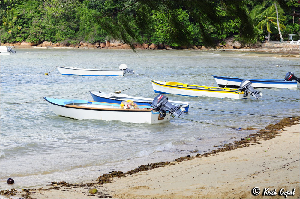 Praslin-2017-03-03-112