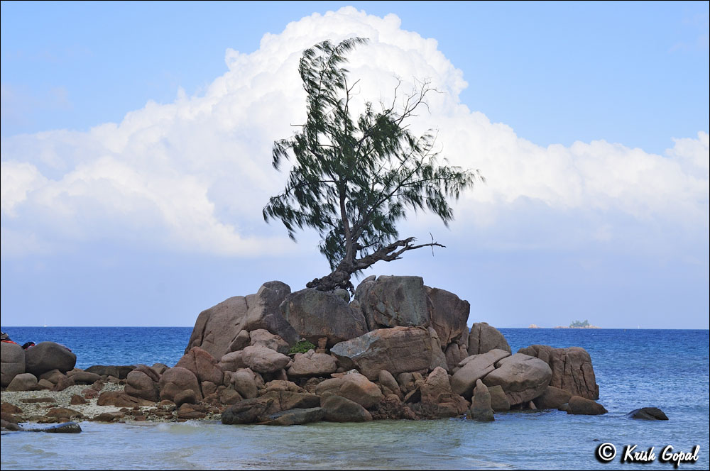 Praslin-2017-03-03-115