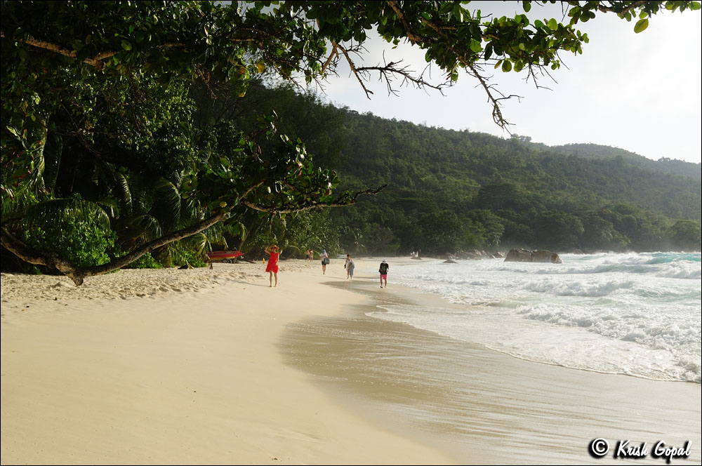 Praslin-2017-03-03-165