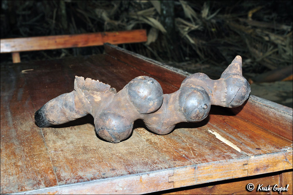 Praslin-2017-03-04-007