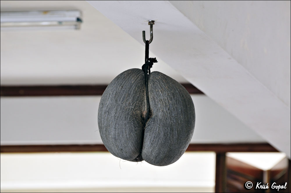 Praslin-2017-03-04-164