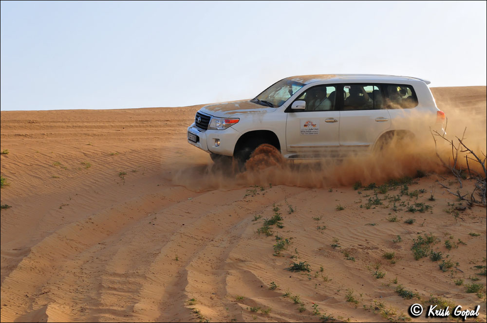 UAE_0488