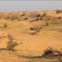 UAE_0489.JPG